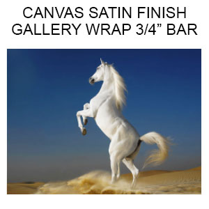 Canvas Satin Finish  Gallery Wrapped on 3/4 inch Bars  (Inches) old