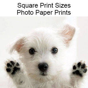 Photograph Square  Print Sizes 8 x 8 thru 42 x 44 inches