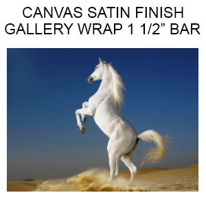 Canvas Satin Finish  Gallery Wrapped on 1 1/2 inch Bars  (Inches) 