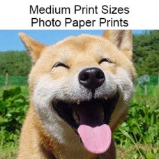 Photograph Medium  Print Sizes  14 x 21  thur 24 x  36  inches Pricing From $15.29 - $43.00